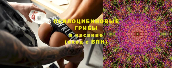 крисы Армянск