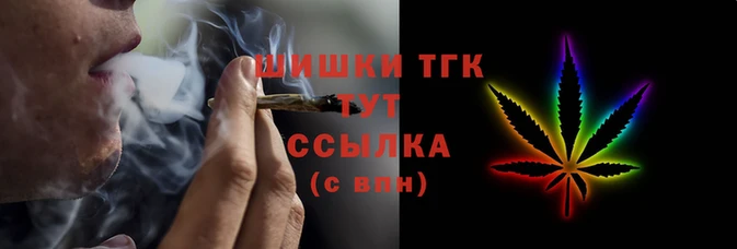 крисы Армянск
