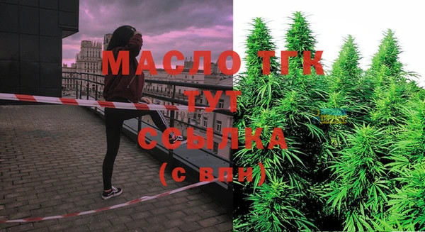 крисы Армянск