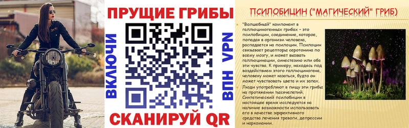 Псилоцибиновые грибы Cubensis  Струнино 